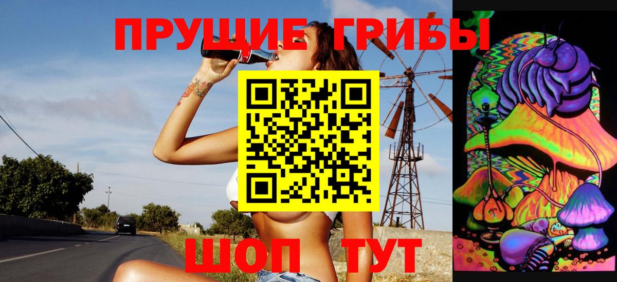 Галлюциногенные грибы Psilocybe  Вход с VPN  Псилоцибиновые грибы Magic Shrooms  Владимир 