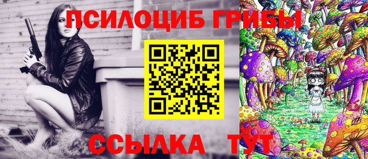 Псилоцибиновые грибы Cubensis Владимир